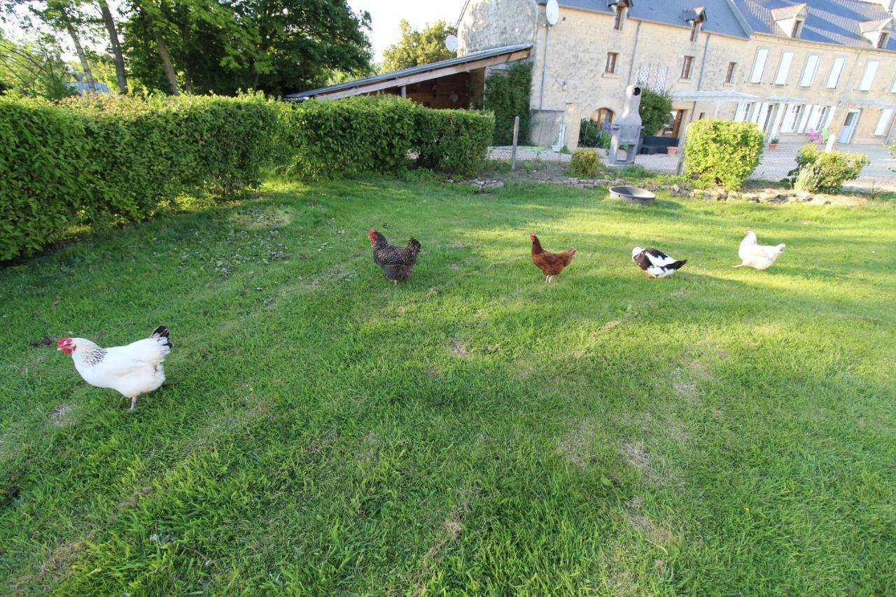 La Ferme Aux Chats Formigny Ngoại thất bức ảnh